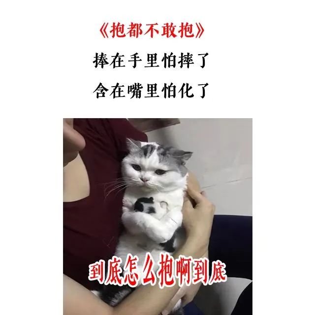 1703487229860412.jpg
