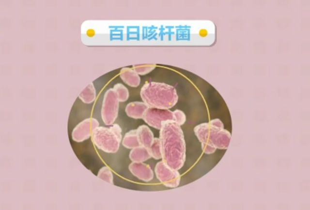 微信图片_20240319091533.png