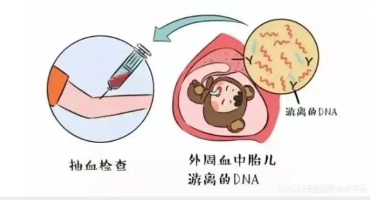 微信图片_20240325095302.png