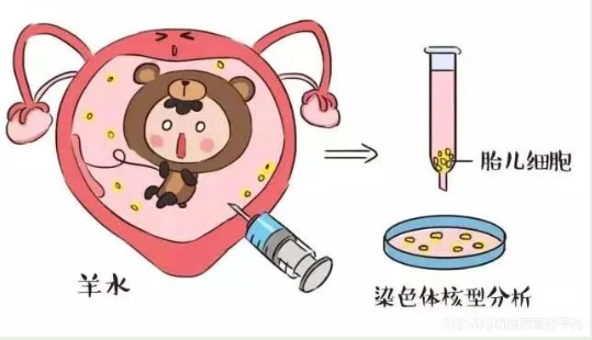微信图片_20240325095306.png