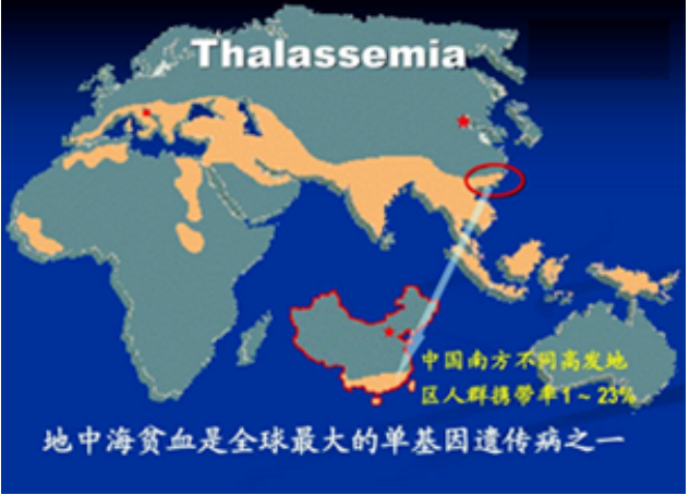 微信图片_20240510091908.png