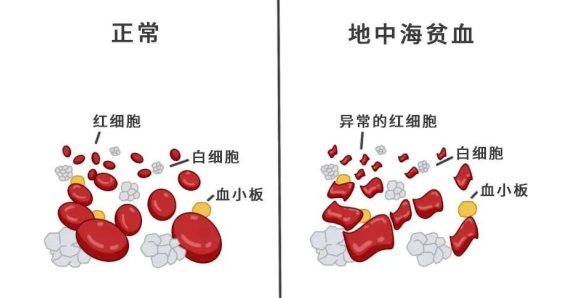 微信图片_20240510091912.png