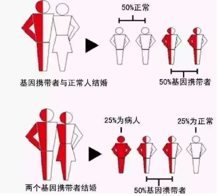 微信图片_20240510091919.png