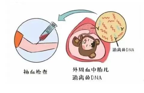 微信图片_20240905153815.jpg